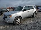 2011 Ford Escape XLS