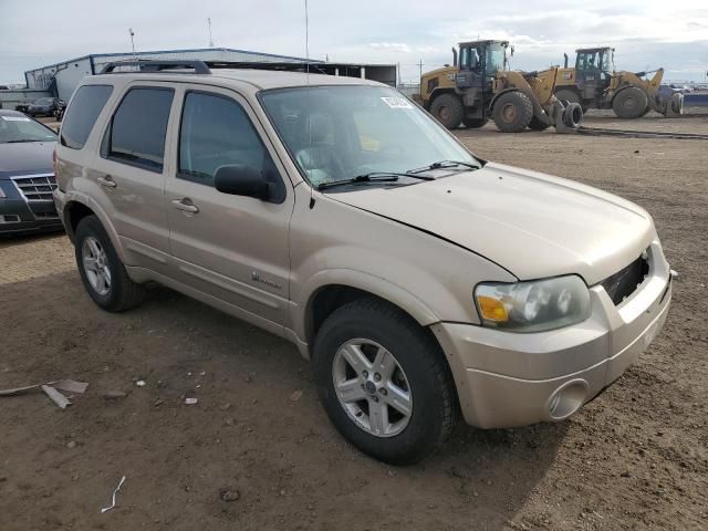 2007 Ford Escape HEV