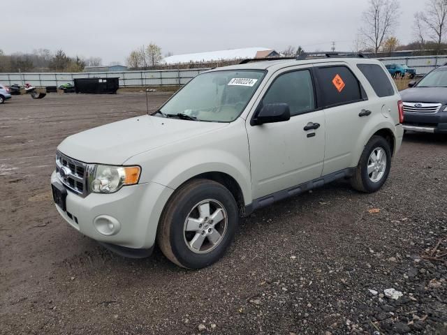 2009 Ford Escape XLT