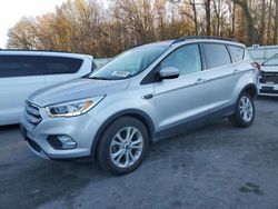 Salvage cars for sale at Glassboro, NJ auction: 2019 Ford Escape SEL