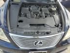 2008 Lexus LS 460