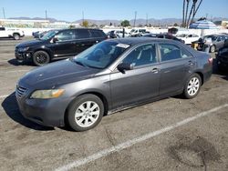 Toyota salvage cars for sale: 2009 Toyota Camry Hybrid