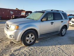 2010 Ford Escape XLT en venta en Arcadia, FL