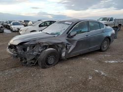 Salvage cars for sale at Helena, MT auction: 2008 Honda Accord EXL