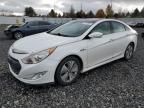 2013 Hyundai Sonata Hybrid