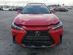 2024 Lexus NX 250 Base