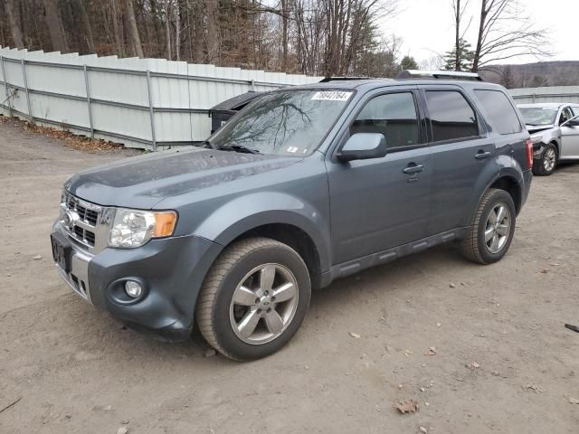 2010 Ford Escape Limited