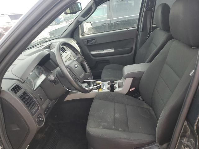 2009 Ford Escape XLT