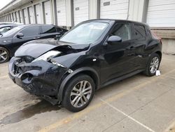 Salvage cars for sale at Louisville, KY auction: 2011 Nissan Juke S