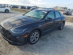 Salvage cars for sale at Arcadia, FL auction: 2023 Hyundai Sonata SEL