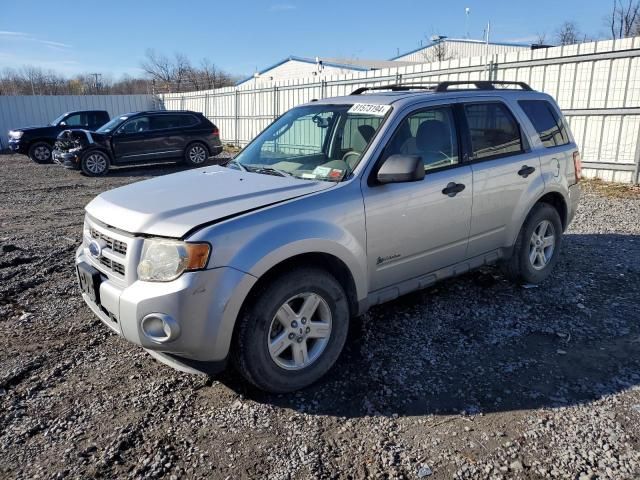 2009 Ford Escape Hybrid