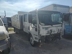 Salvage trucks for sale at Arcadia, FL auction: 2023 Isuzu NPR HD