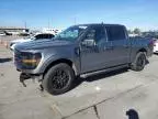 2024 Ford F150 XLT