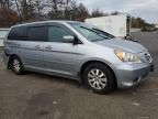 2010 Honda Odyssey EXL