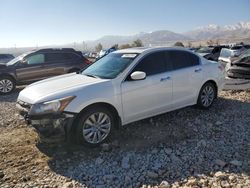 Honda Accord exl salvage cars for sale: 2012 Honda Accord EXL