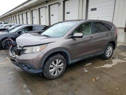 Salvage cars for sale at Louisville, KY auction: 2013 Honda CR-V EX