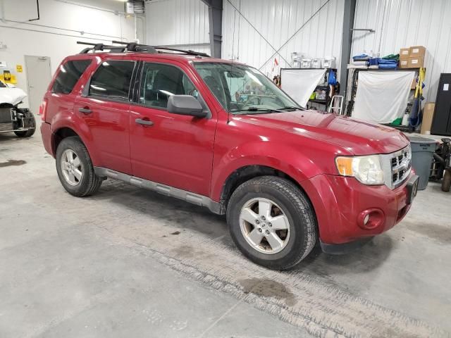 2009 Ford Escape XLT