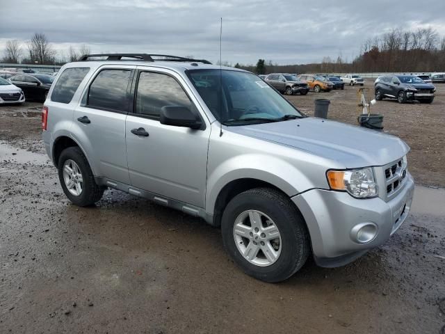 2010 Ford Escape Hybrid