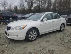 Salvage cars for sale at Waldorf, MD auction: 2008 Honda Accord EXL