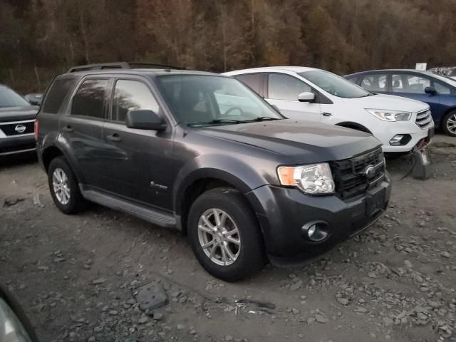 2009 Ford Escape Hybrid