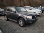 2009 Ford Escape Hybrid