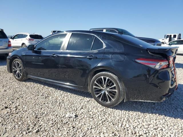 2019 Toyota Camry Hybrid