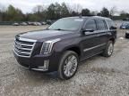 2015 Cadillac Escalade Platinum