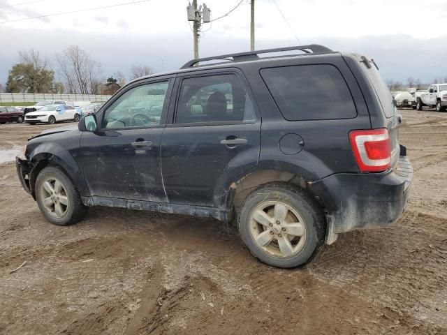 2009 Ford Escape XLT