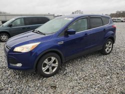 Salvage cars for sale at Barberton, OH auction: 2014 Ford Escape SE