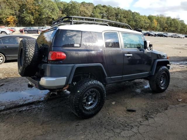 2007 Toyota FJ Cruiser