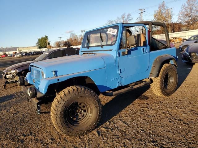 1994 Jeep Wrangler / YJ S