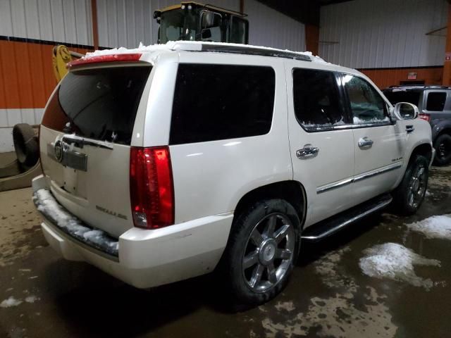 2010 Cadillac Escalade Luxury