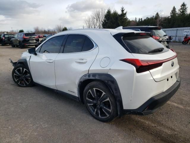 2019 Lexus UX 250H