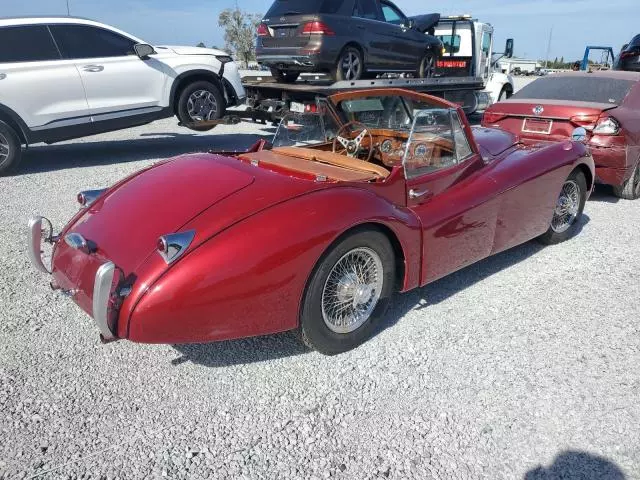 1954 Jaguar Other