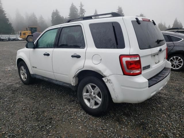 2009 Ford Escape Hybrid