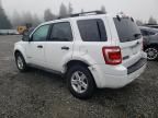 2009 Ford Escape Hybrid