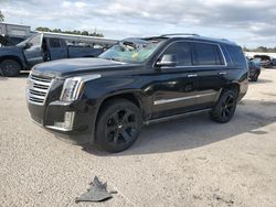 Salvage cars for sale at Gaston, SC auction: 2019 Cadillac Escalade Platinum