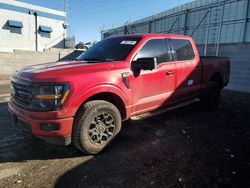 Salvage cars for sale at Albuquerque, NM auction: 2024 Ford F150 XLT