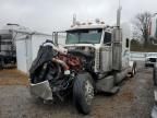 2009 Peterbilt 389