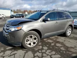 Salvage cars for sale at Pennsburg, PA auction: 2013 Ford Edge SEL