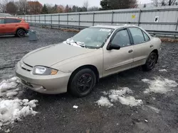 Chevrolet salvage cars for sale: 2004 Chevrolet Cavalier