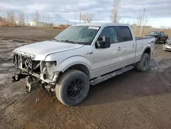 2014 Ford F150 Supercrew en venta en Montreal Est, QC