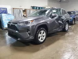 2021 Toyota Rav4 XLE en venta en Elgin, IL