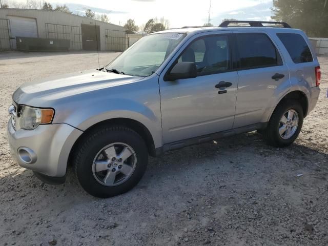 2011 Ford Escape XLT