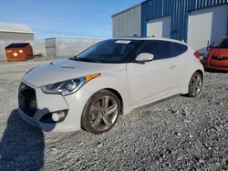 Salvage cars for sale at Elmsdale, NS auction: 2013 Hyundai Veloster Turbo