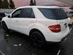 2006 Mercedes-Benz ML 350