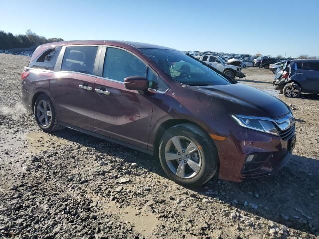 2019 Honda Odyssey EXL