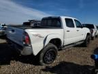 2009 Toyota Tacoma Double Cab