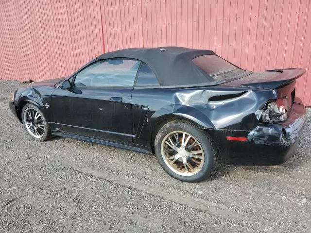 1999 Ford Mustang