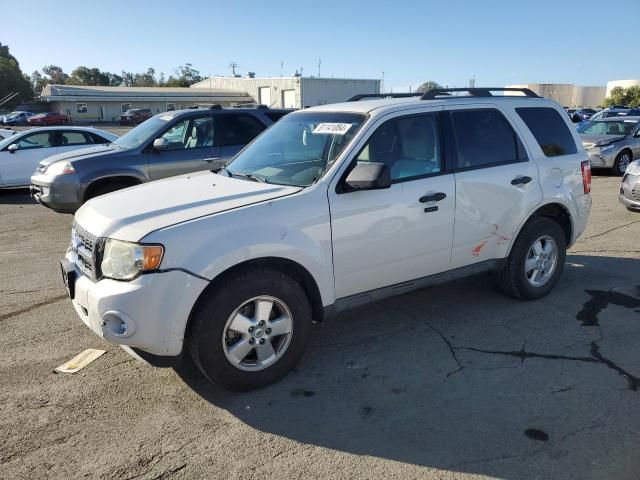 2011 Ford Escape XLT